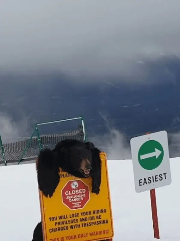 Marmot Basin 2