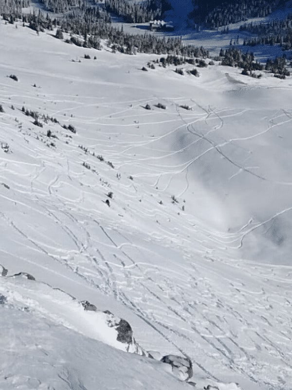 Skiferie til Marmot Basin / Jasper 4 Marmot Basin 3