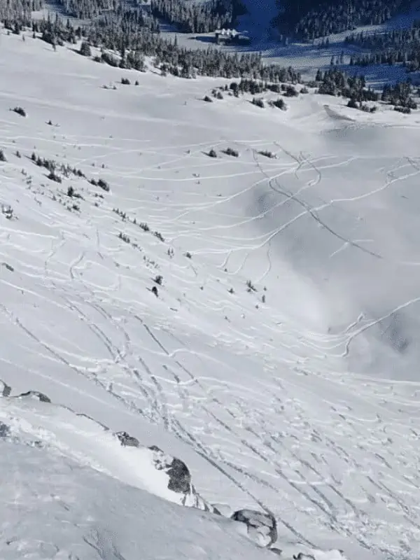 Skiferie til Marmot Basin / Jasper 4 Marmot Basin 3
