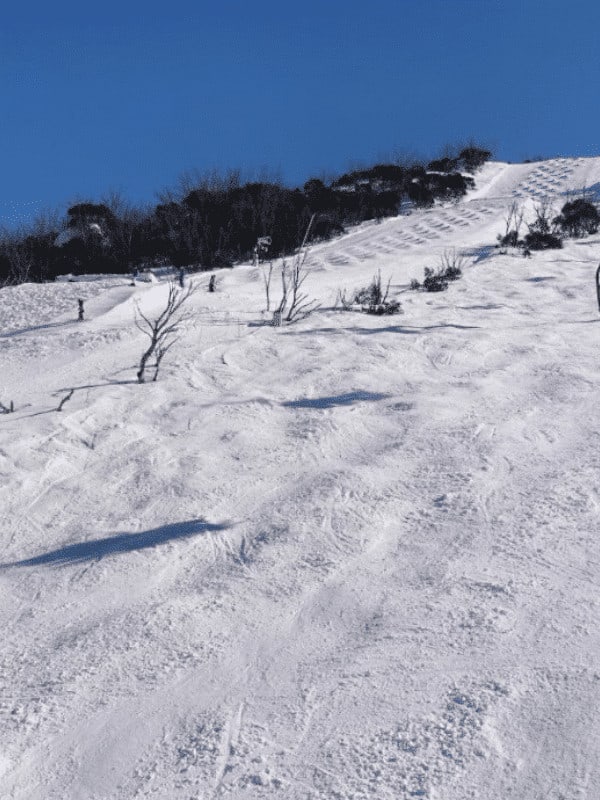 Skiferie til Perisher 4 Perisher