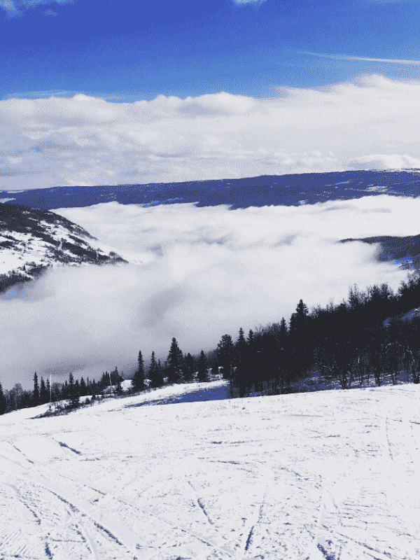 Skiferie til Ål i Hallingdal / Skarslia 2 Ål5 optimized