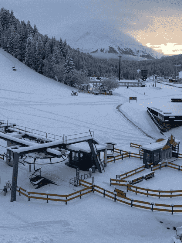 Seefeld2 optimized