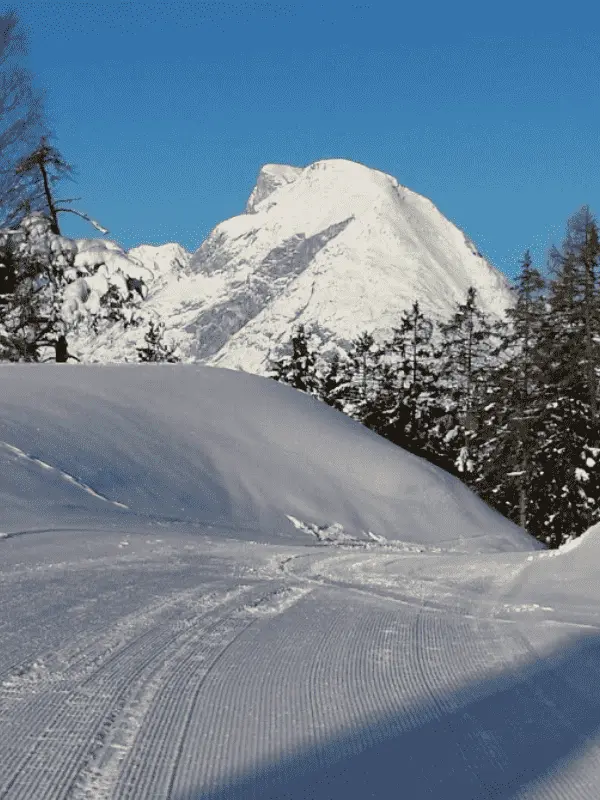 Seefeld_optimized Seefeld optimized