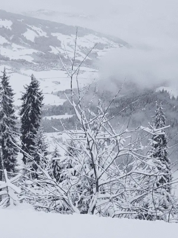 Westendorf2 optimized