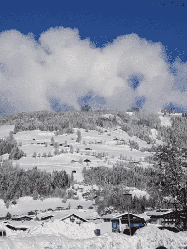 Westendorf3 optimized