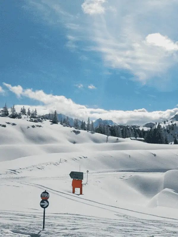 Westendorf4 optimized
