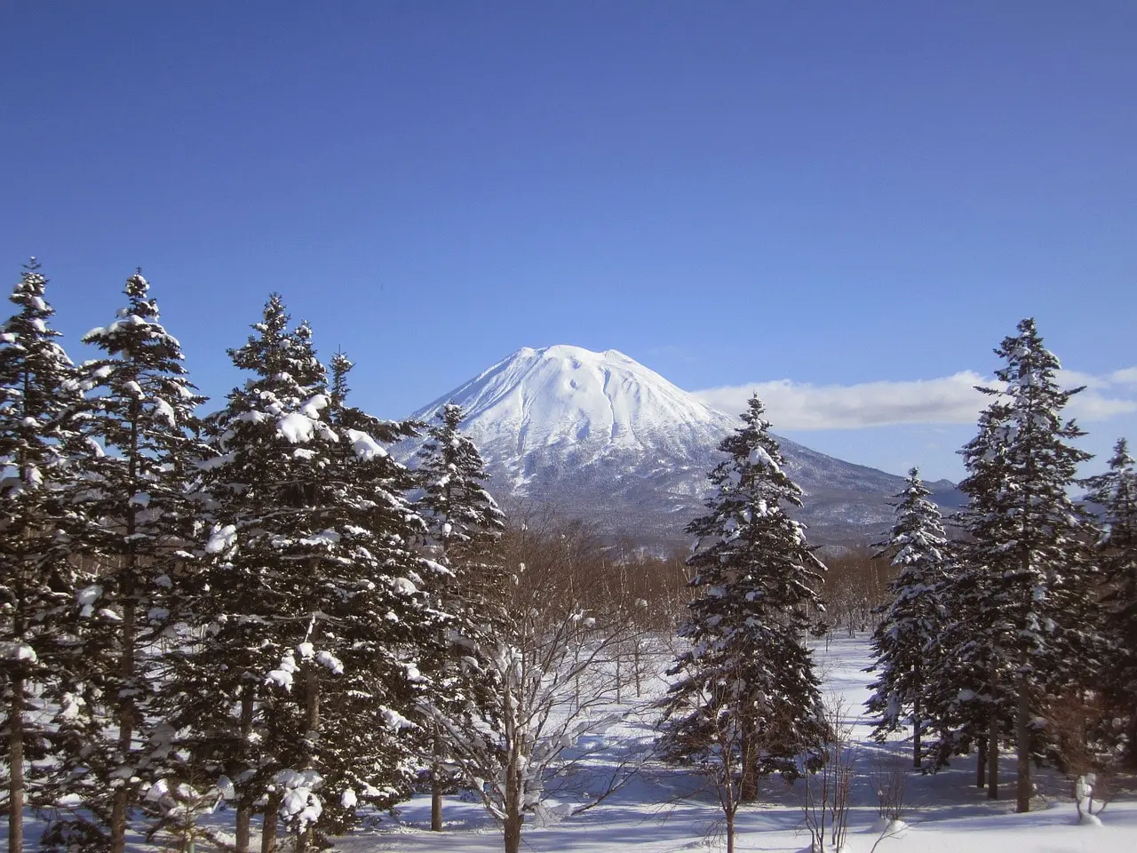 mount yotei 846008 1280