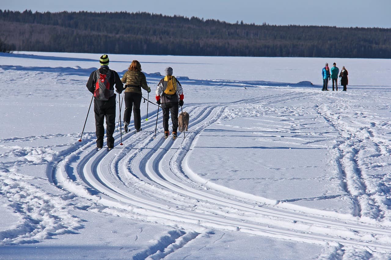 ski-2248417_1280 ski 2248417 1280