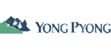 YongPyong fit