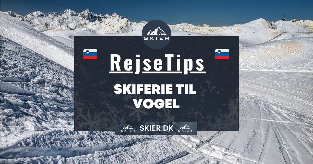 Rejsetips - Skiferie til Vogel