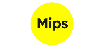 MIPS Protection
