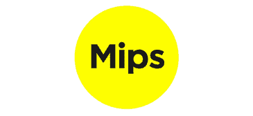MIPS Protection