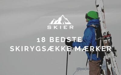 18 Bedste skirygsække mærker