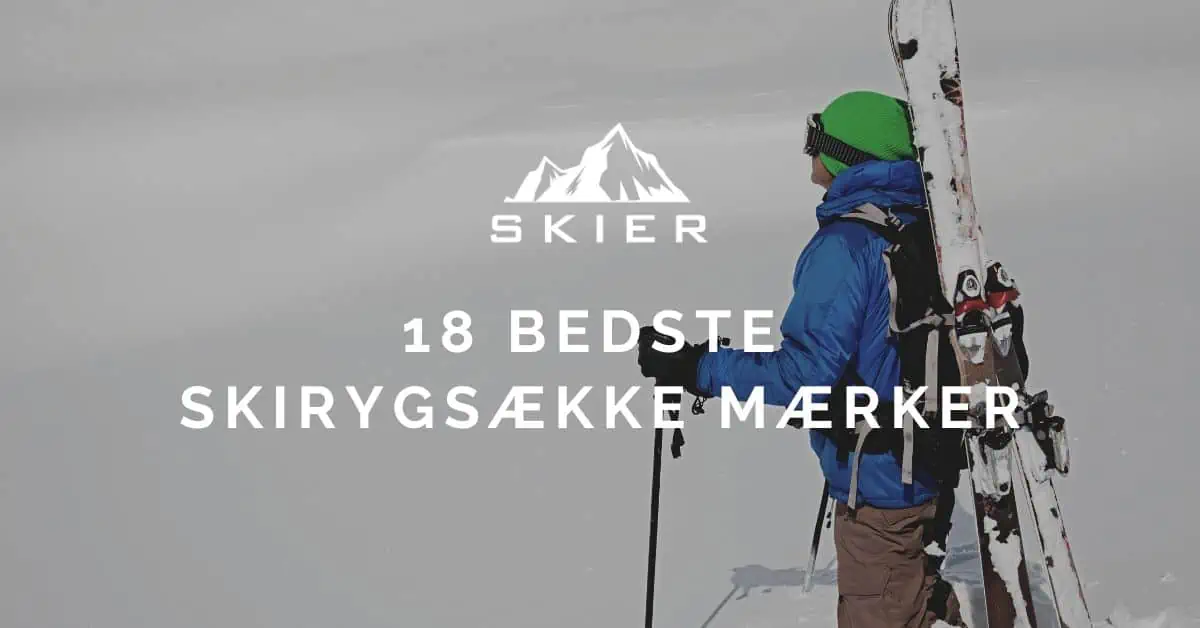 18 Bedste skirygsække mærker