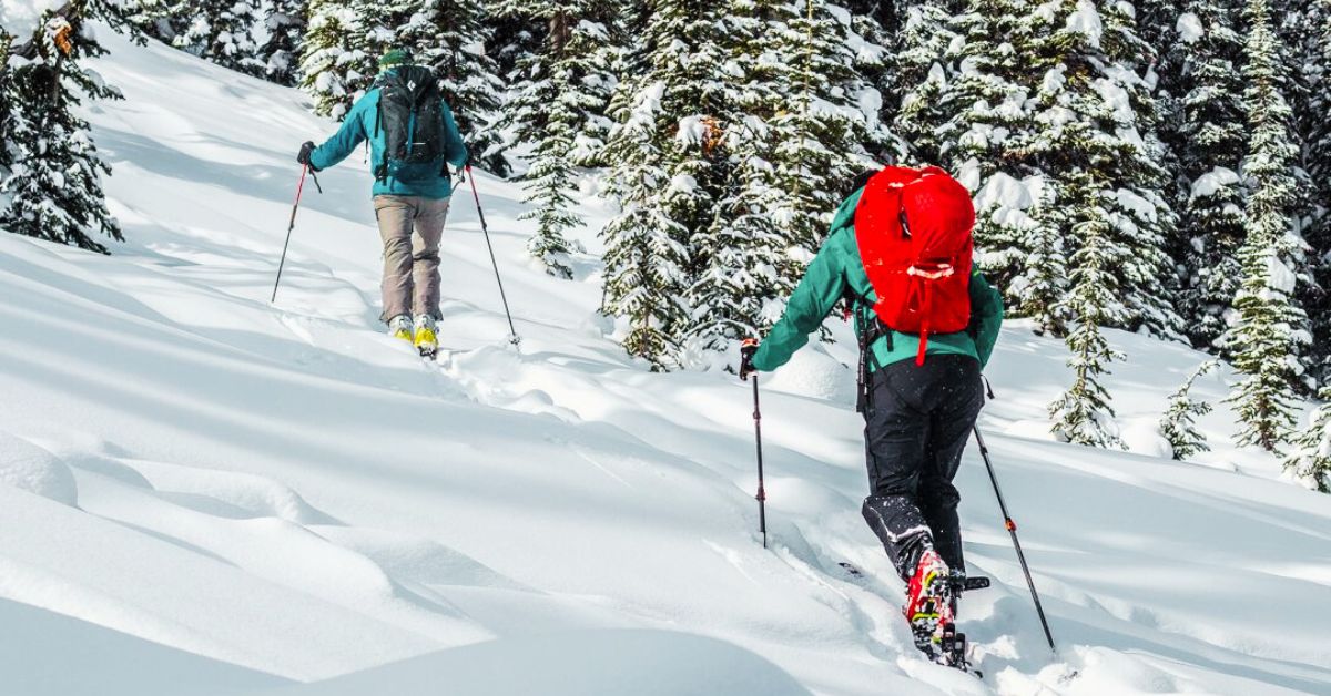 Backcountry ski