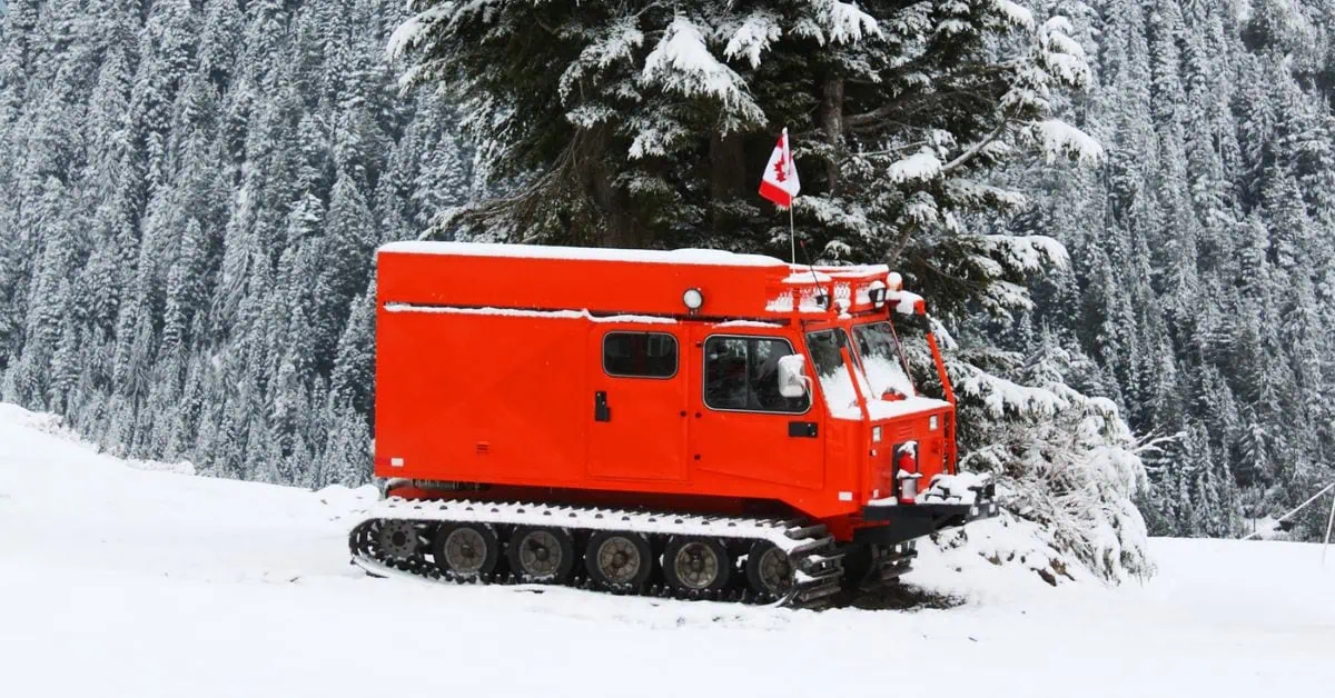 Catskiing vs. Heliskiing: Hvad passer bedst til dig?