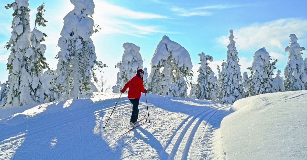 De 7 bedste langrendssteder i Tjekkiet