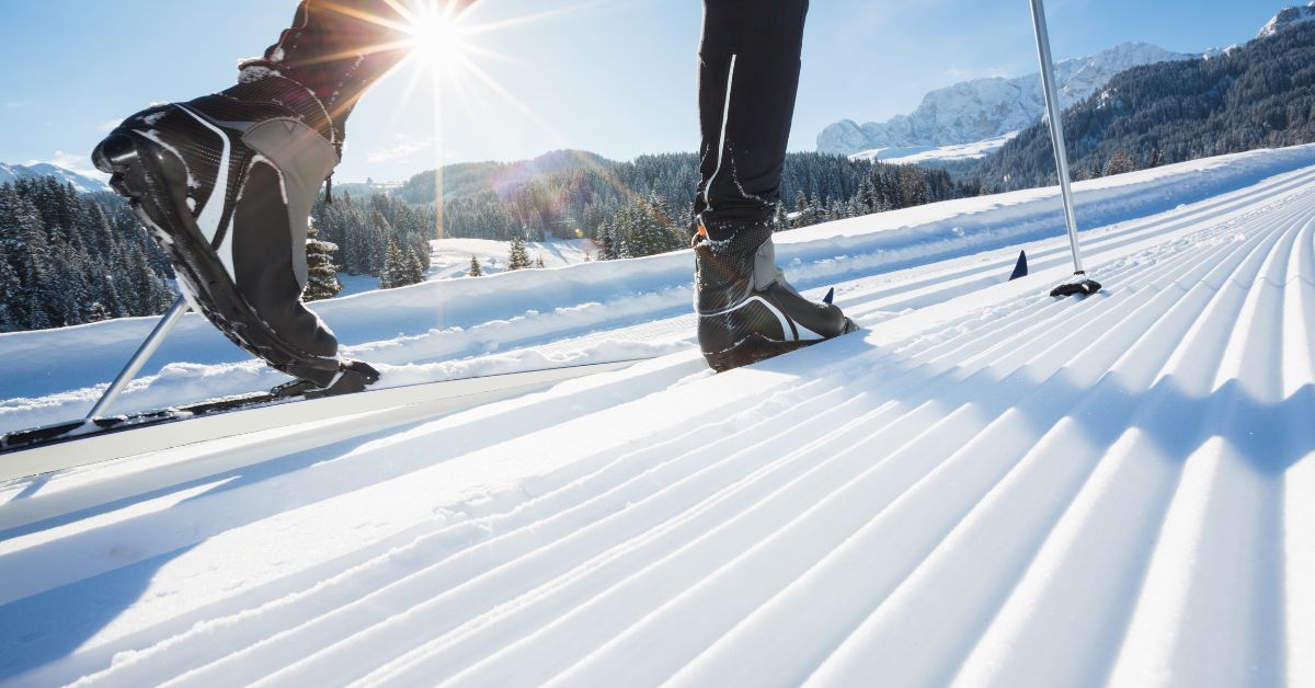 De 10 bedste langrendssteder i Tyskland