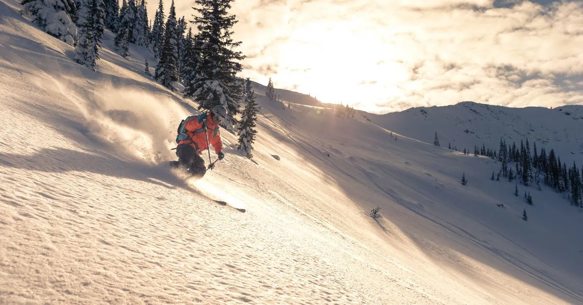 Økonomiske dele af heliskiing: Omkostninger