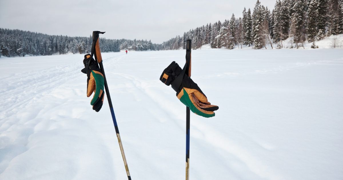 Miljøvenlige Skistave