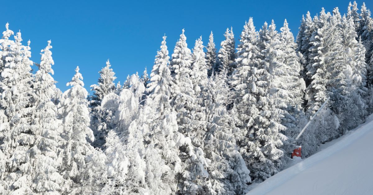 mest snesikre skiområder i Norge