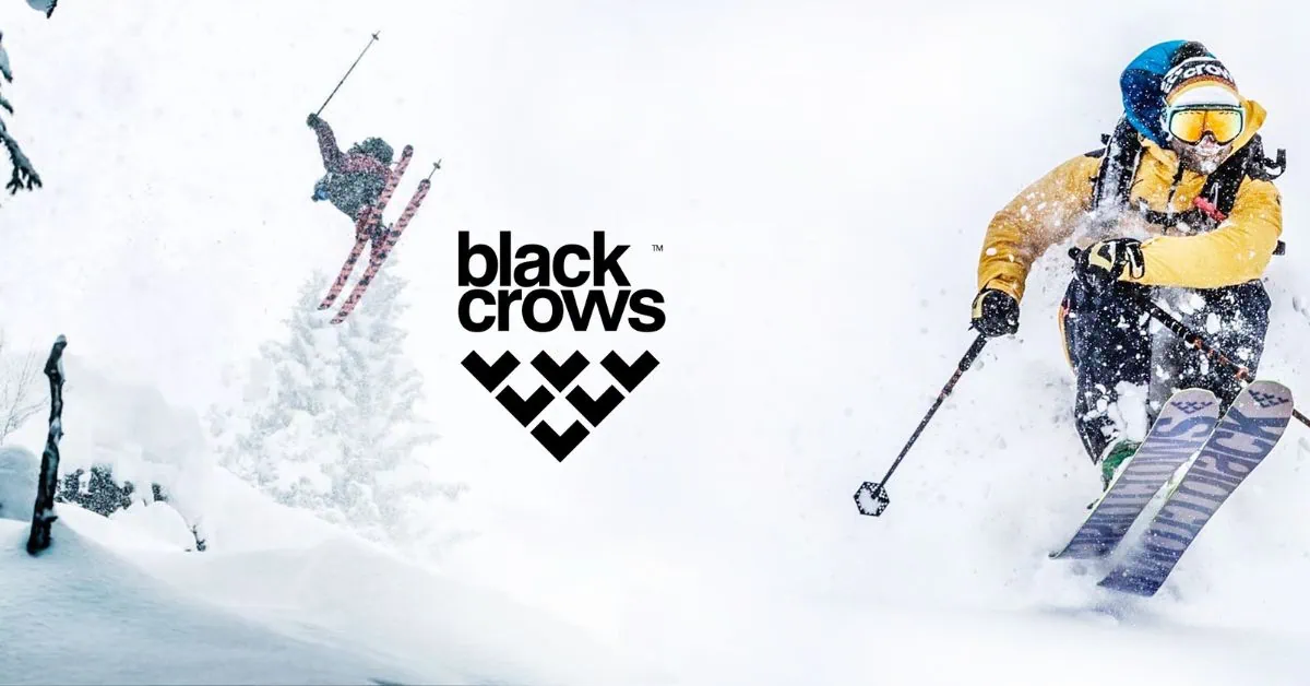 Black Crows