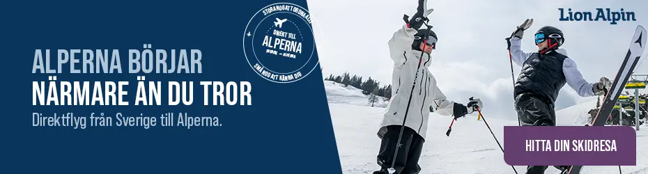 Lion Alpin - banner