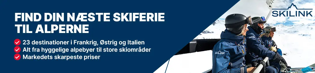 Skilink.dk - Banner