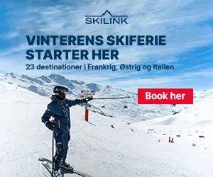 Skilink.dk - Banner